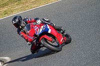Advanced Group Red Bikes